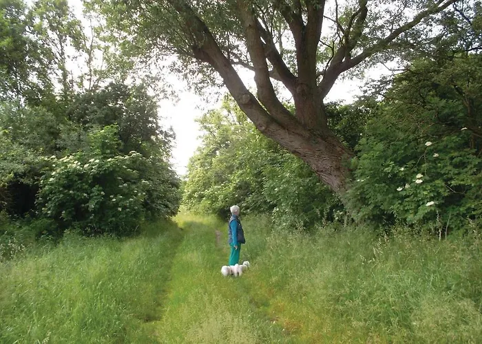 Hébergement de vacances Stromstrasse L Manschnow