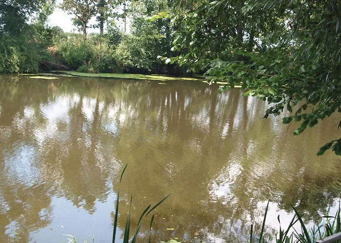 Stromstrasse L 別荘 *